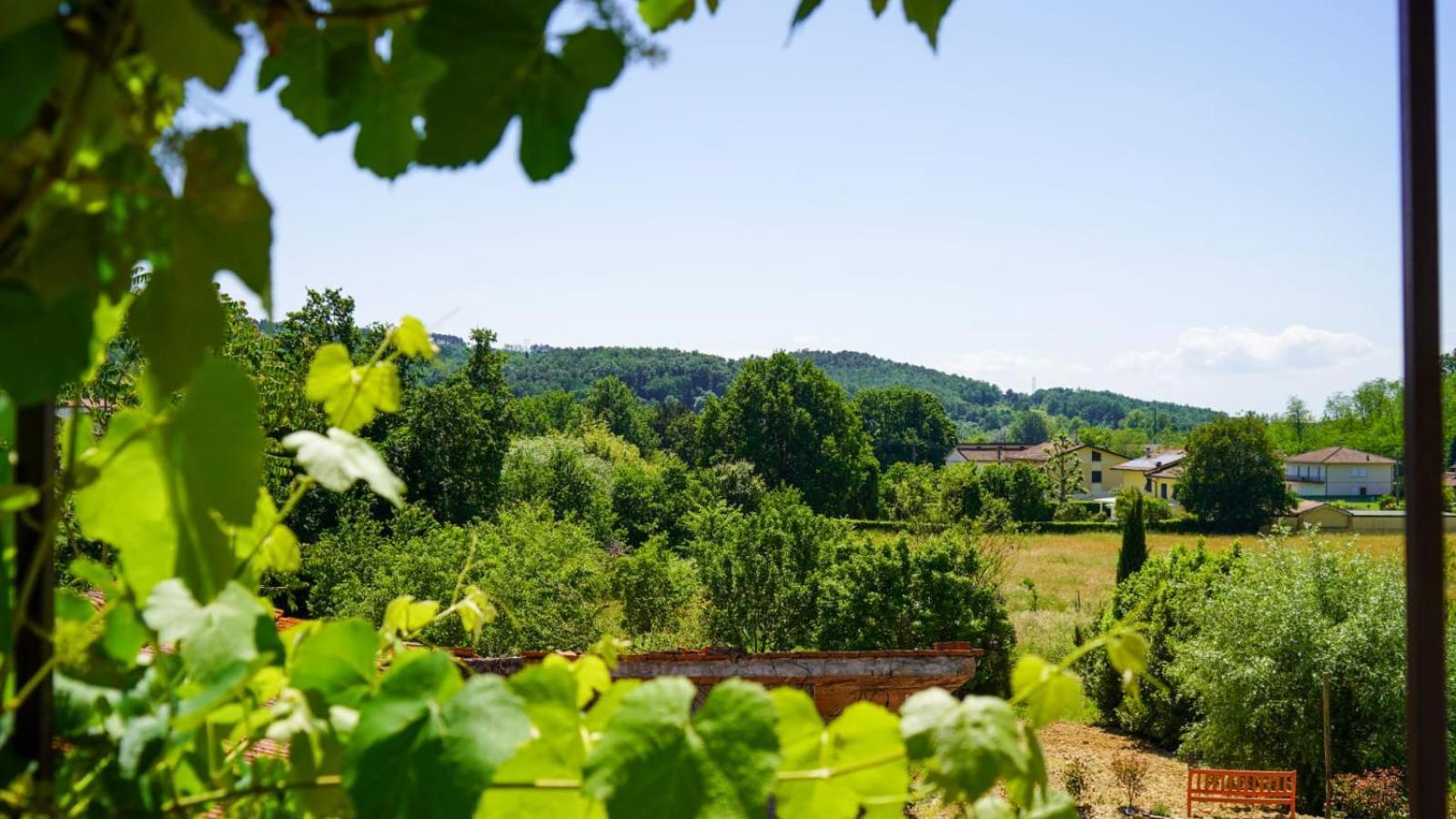Wine House Capannori Exterior foto