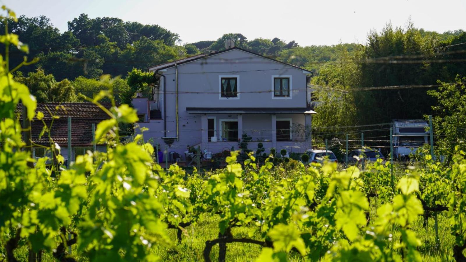 Wine House Capannori Exterior foto