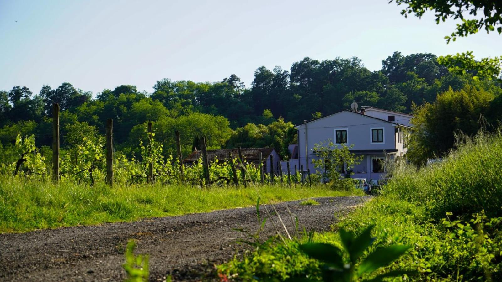 Wine House Capannori Exterior foto