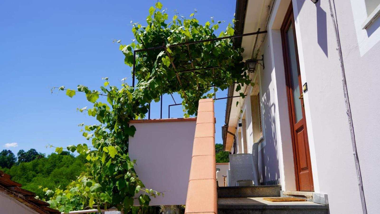 Wine House Capannori Exterior foto