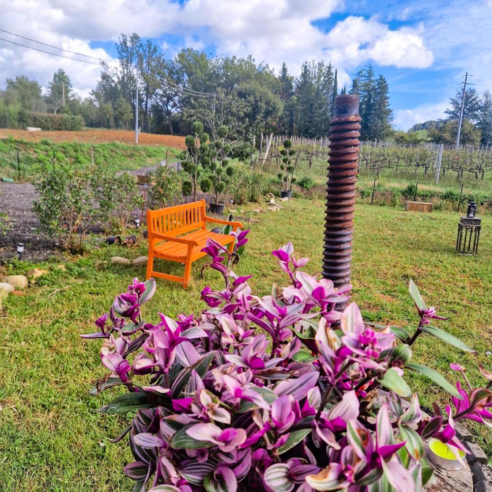 Wine House Capannori Exterior foto