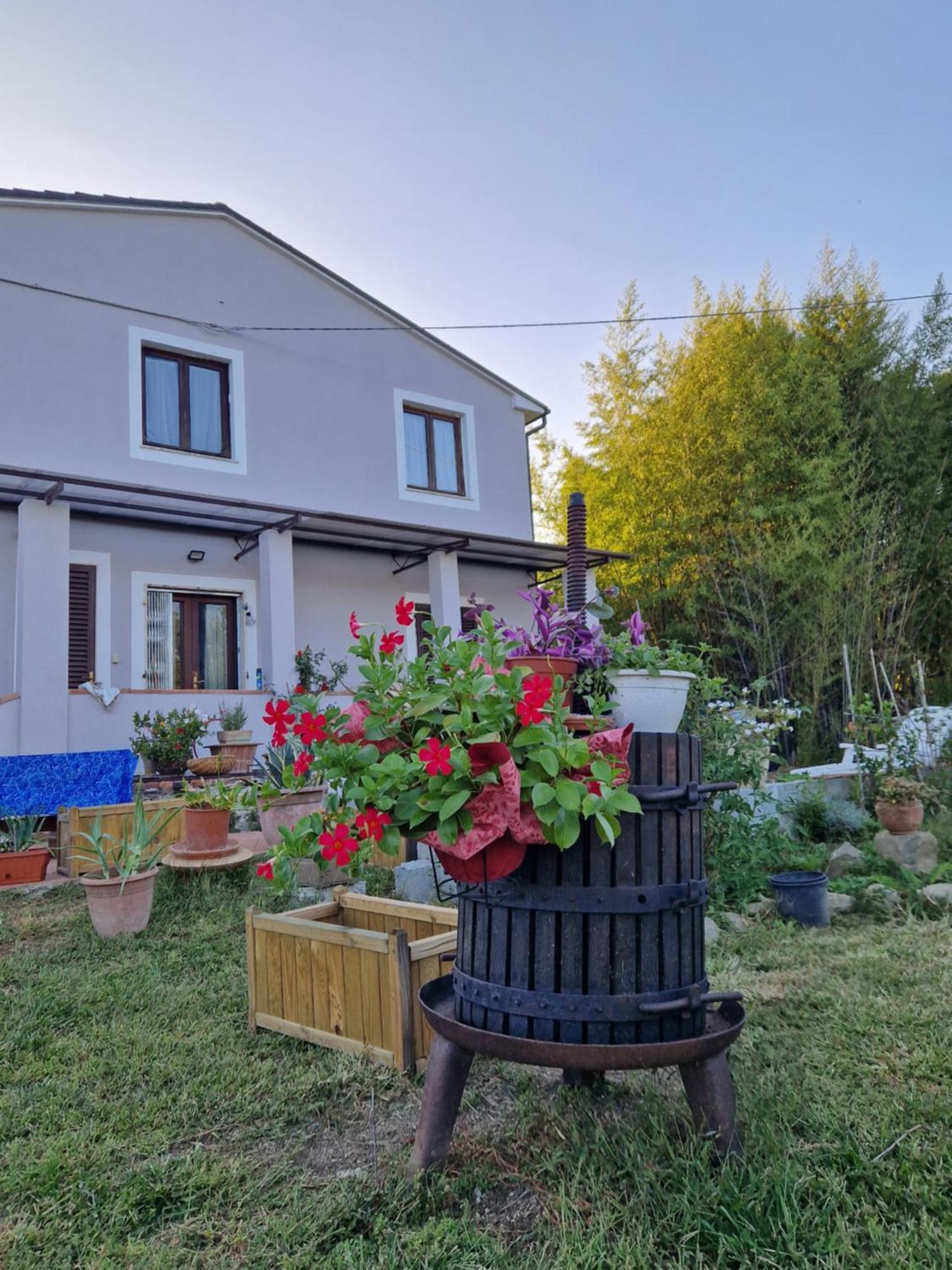 Wine House Capannori Exterior foto